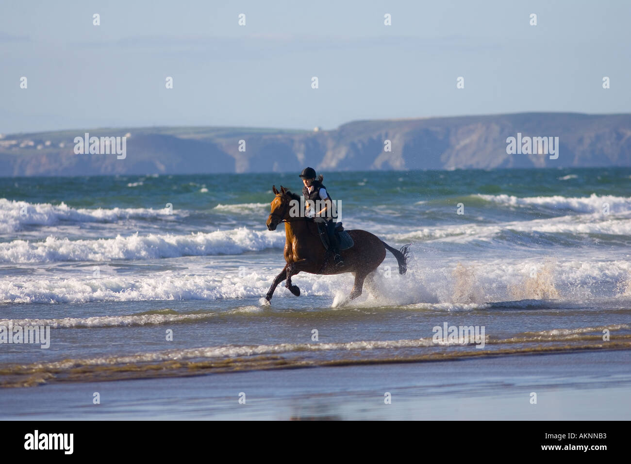 Giovane donna corse una baia a cavallo su vasta Oasi Beach Pembrokeshire Wales Regno Unito Foto Stock
