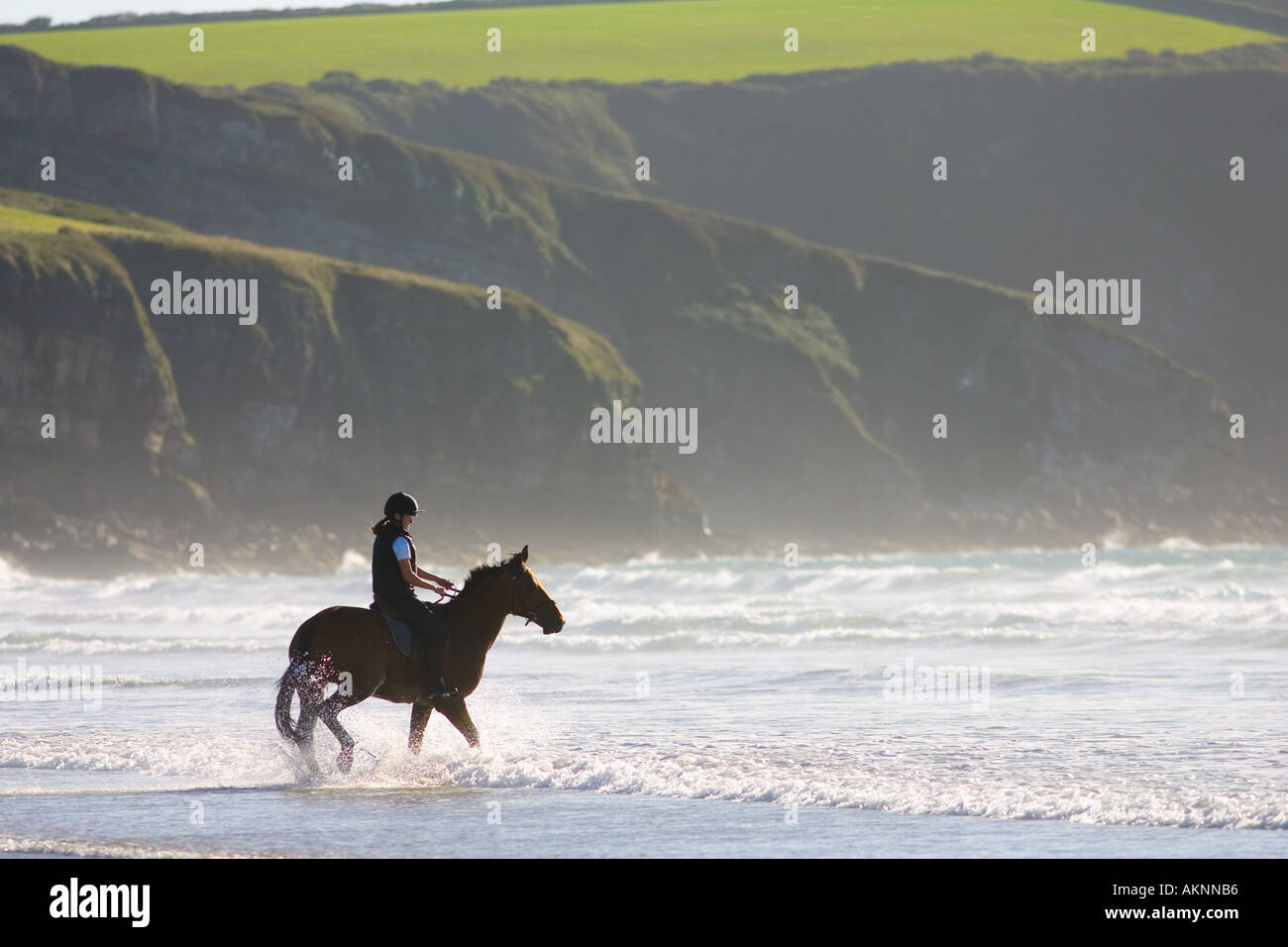 Giovane donna corse una baia a cavallo su vasta Oasi Beach Pembrokeshire Wales Regno Unito Foto Stock