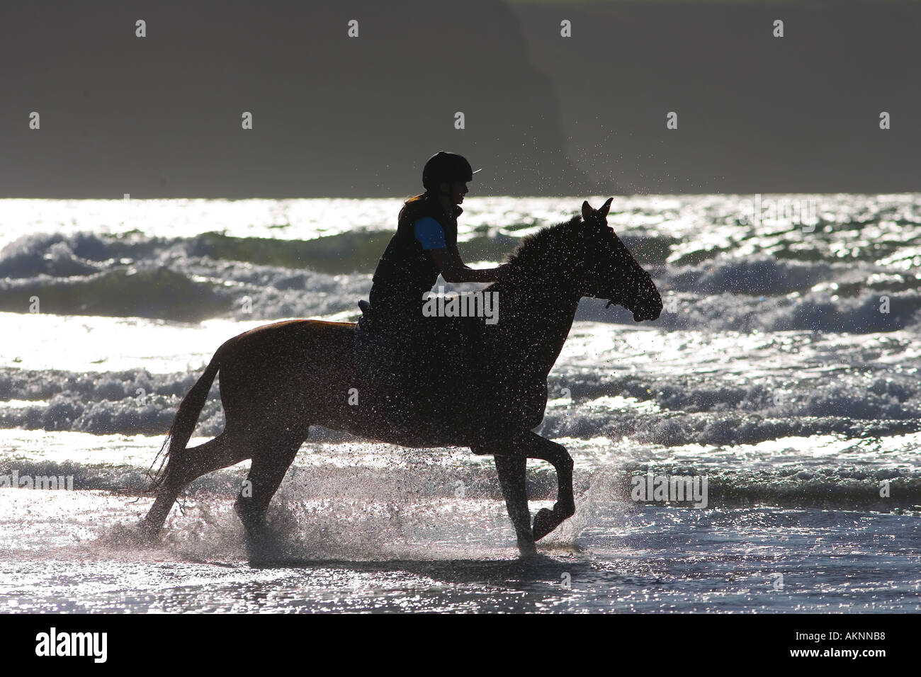 Giovane donna corse una baia a cavallo su vasta Oasi Beach Pembrokeshire Wales Regno Unito Foto Stock