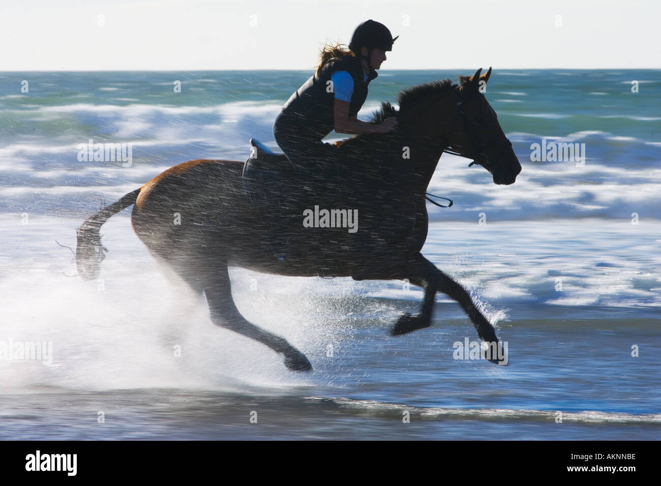Giovane donna corse una baia a cavallo su vasta Oasi Beach Pembrokeshire Wales Regno Unito Foto Stock