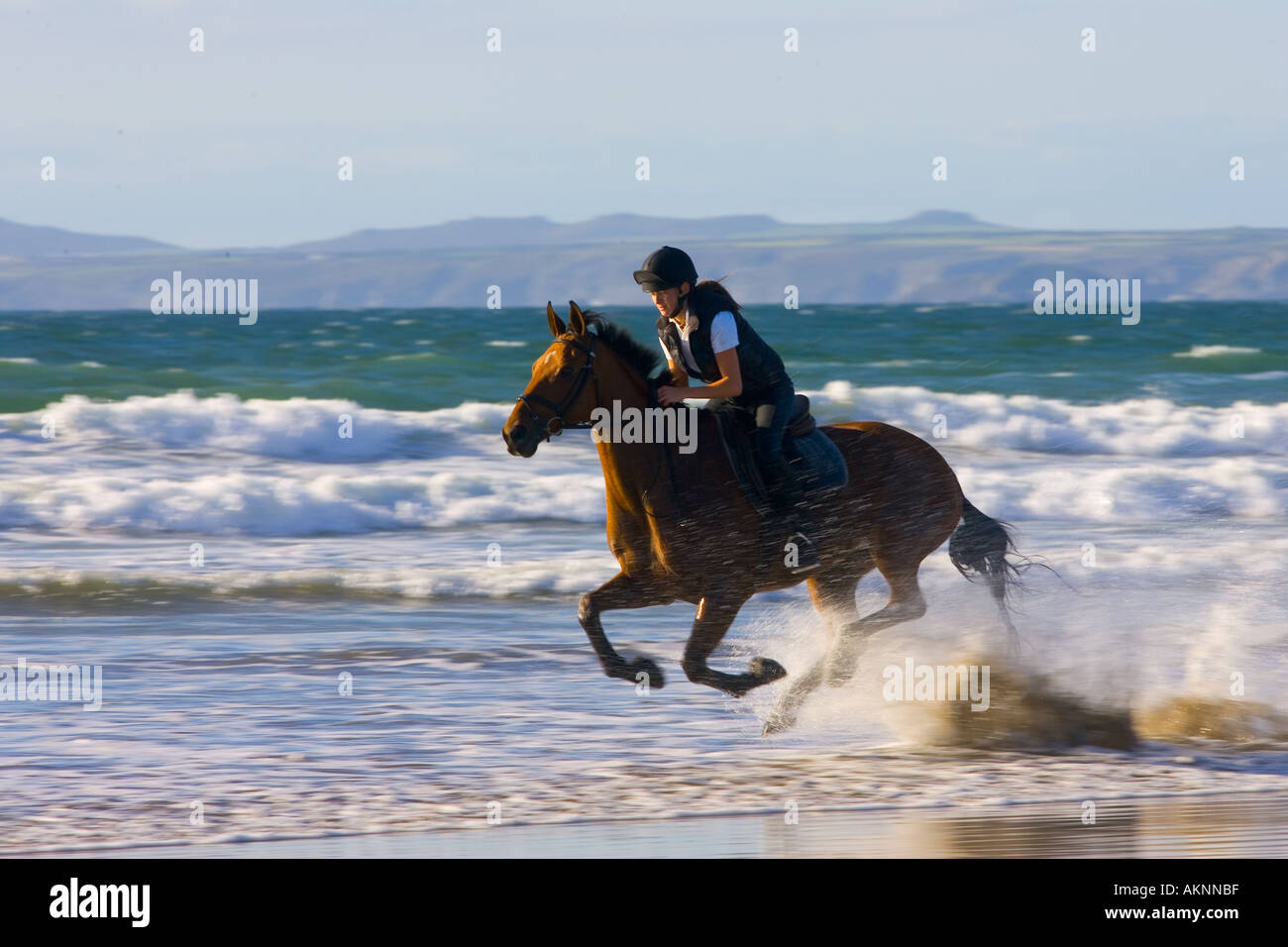 Giovane donna corse una baia a cavallo su vasta Oasi Beach Pembrokeshire Wales Regno Unito Foto Stock