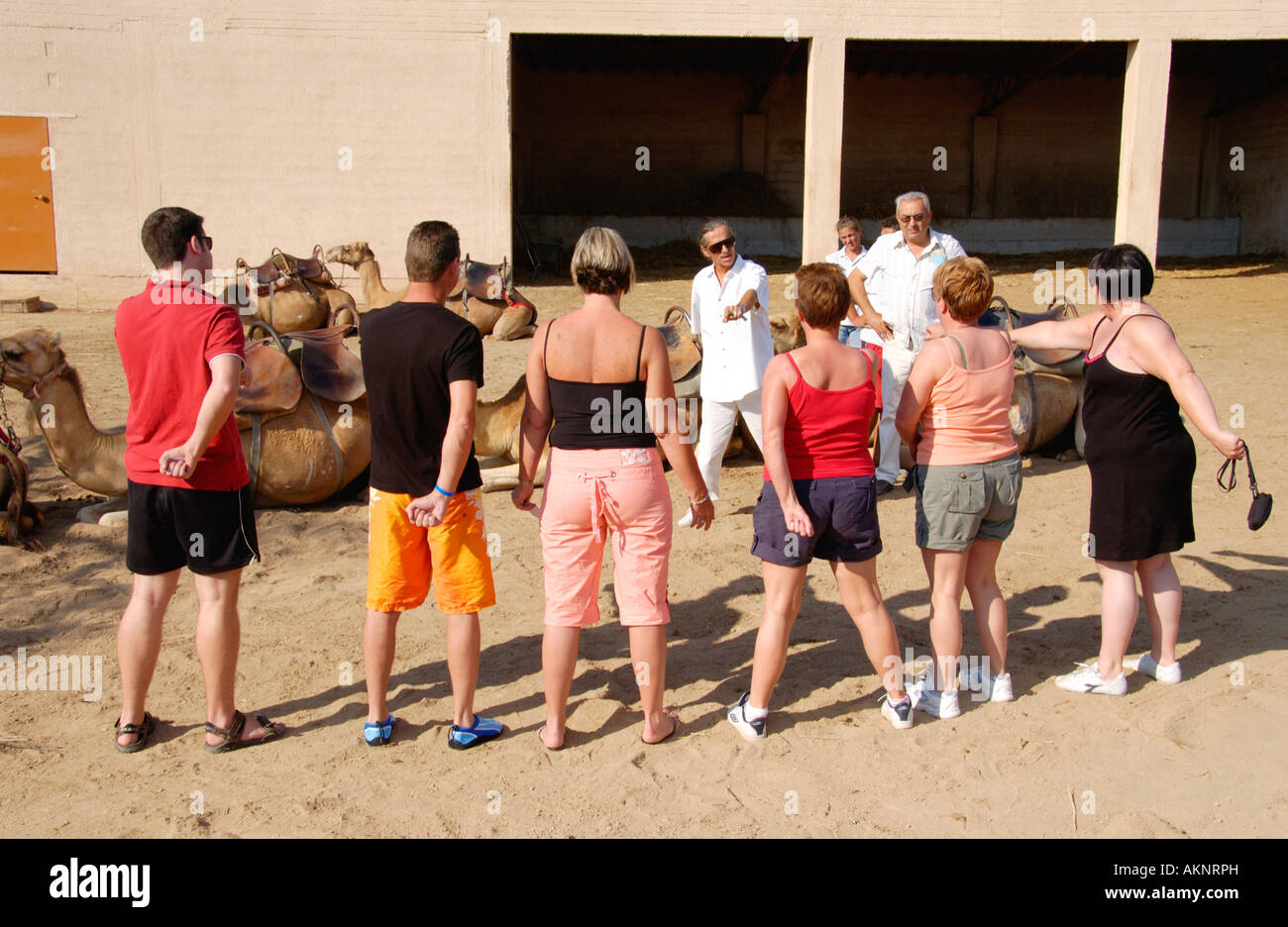 I turisti ottenere istruzioni su a dorso di cammello al Camel Park a Mazotos sull'isola Mediterranea di Cipro UE Foto Stock