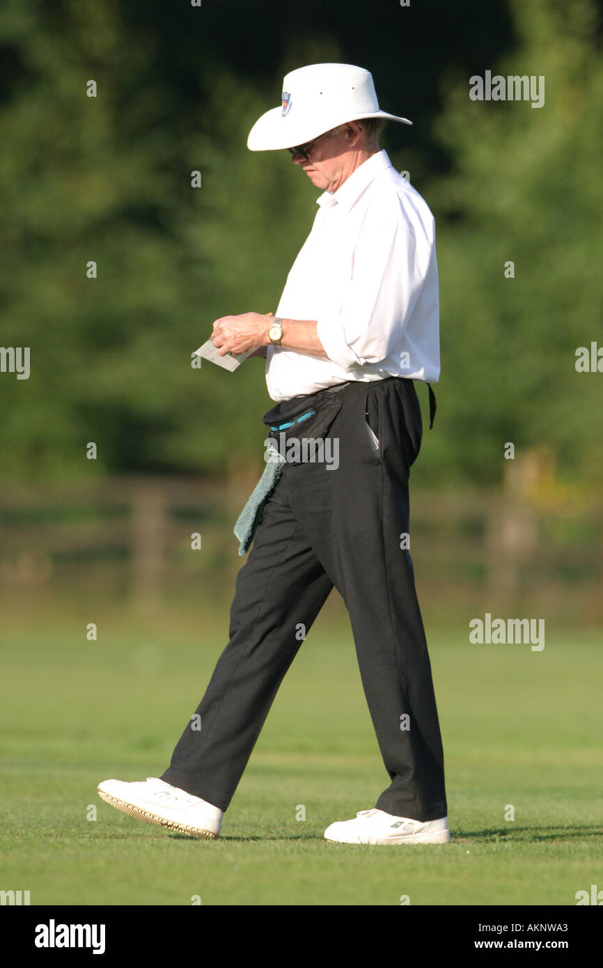 Arbitro di cricket a piedi oltre ai monconi Foto Stock