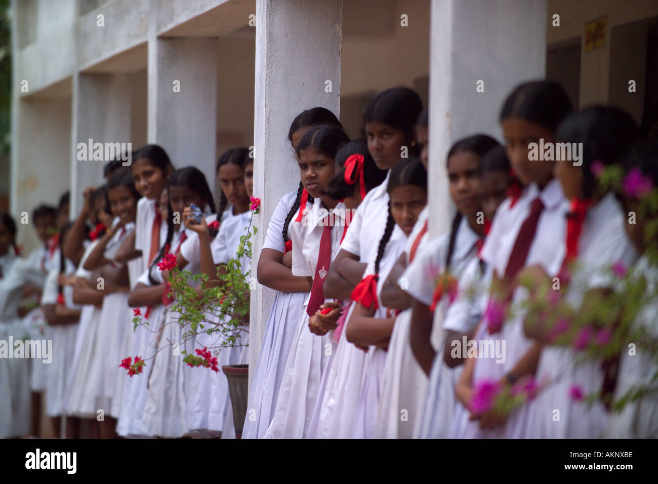 Studentesse a scuola colpite dallo Tsunami in Sri Lanka, Asia Foto Stock