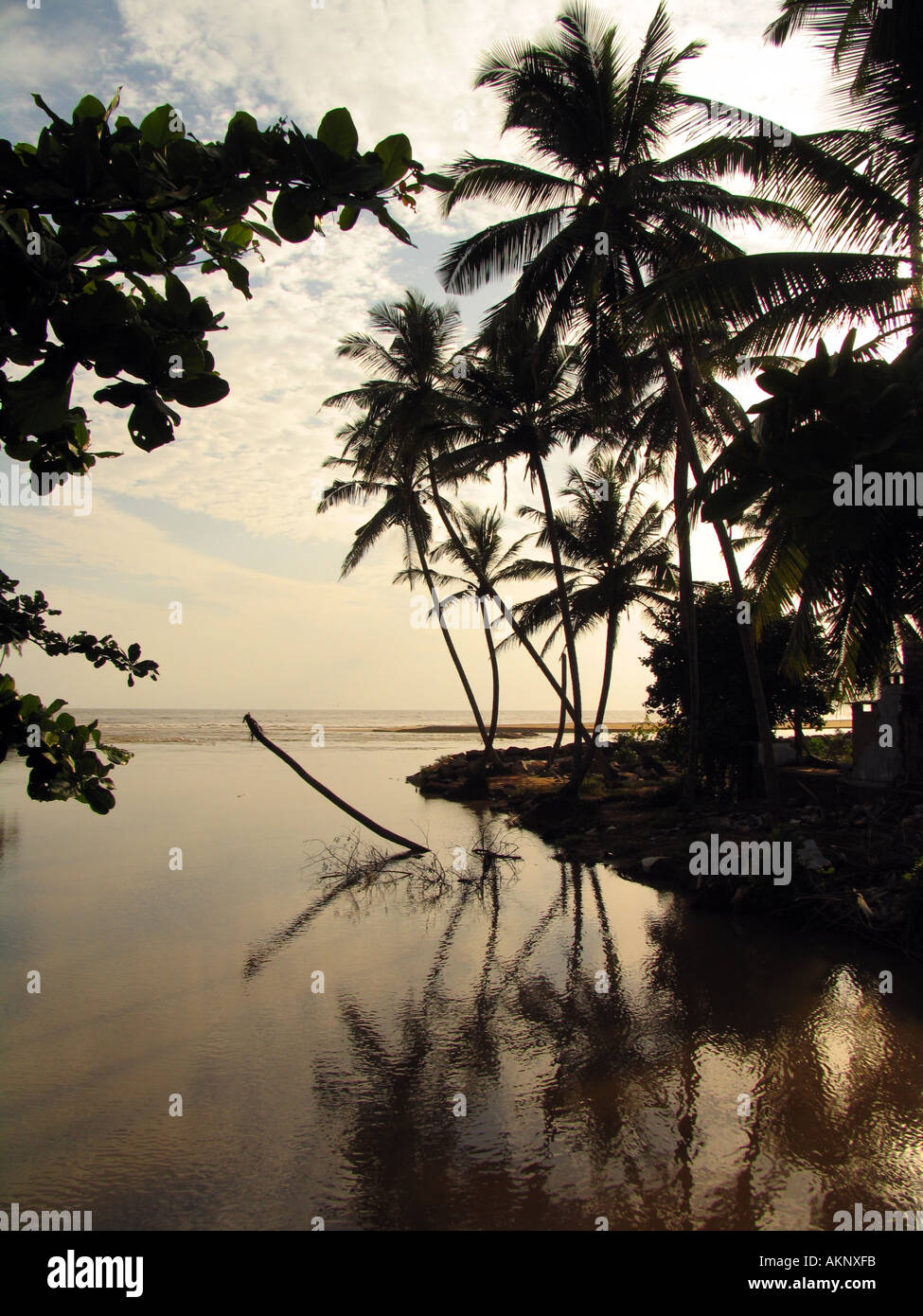 Tramonto sulla spiaggia, Sri Lanka, Asia Foto Stock