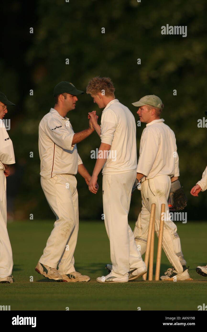 Compagni di squadra congratularci gli uni con gli altri per ottenere un battitore durante una partita di cricket Foto Stock