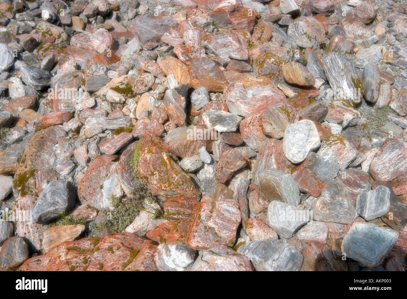Soft focus in prossimità delle rocce multicolore a Fox Glacier, Isola del Sud, Nuova Zelanda Foto Stock