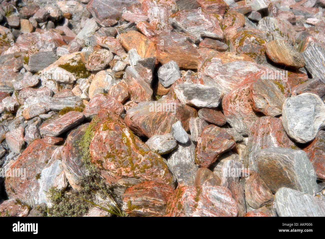 Soft focus in prossimità delle rocce multicolore a Fox Glacier, Isola del Sud, Nuova Zelanda Foto Stock
