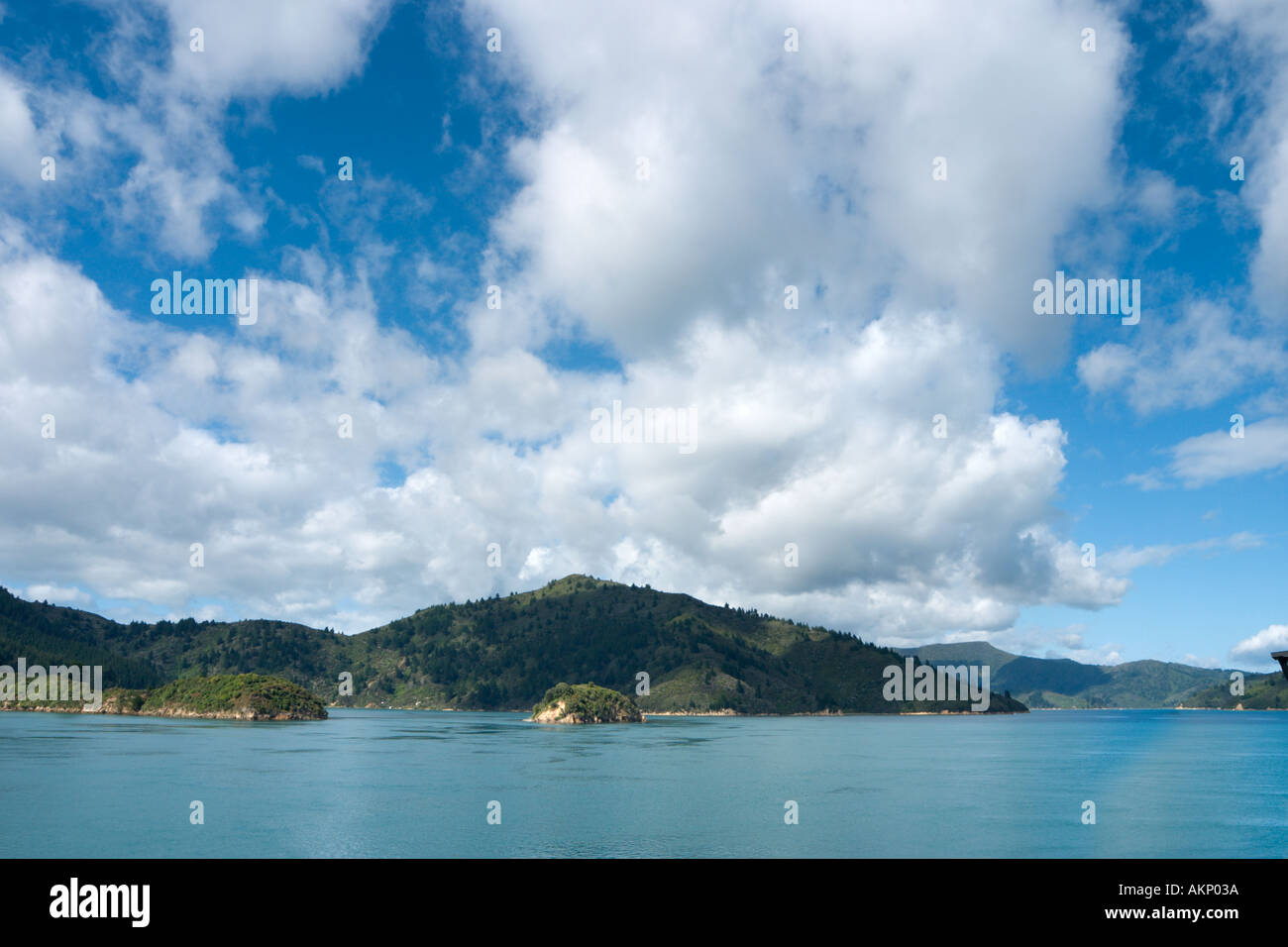 Marlborough Sounds dal Lynx Interisland Ferry, Isola del Sud, Nuova Zelanda Foto Stock