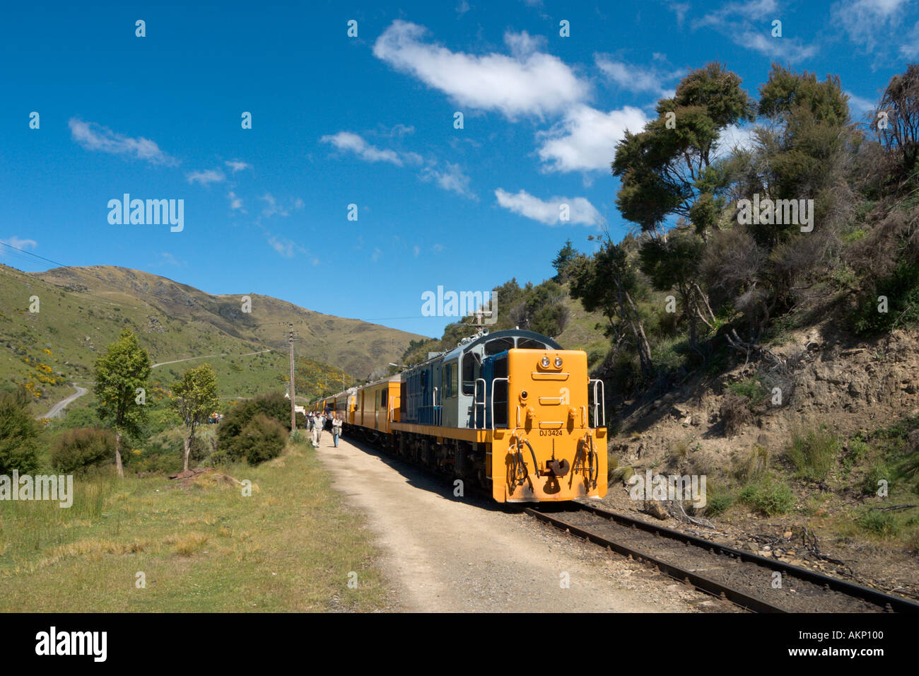 Taieri Gorge Railway da Dunedin, Otago, Isola del Sud, Nuova Zelanda Foto Stock
