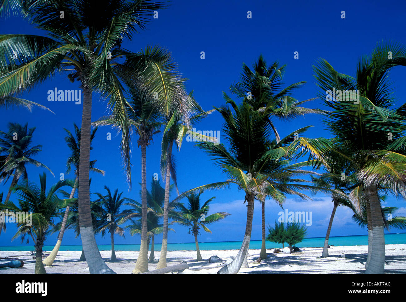 Repubblica Dominicana Playa Juanillo in Punta Cana regione Foto Stock