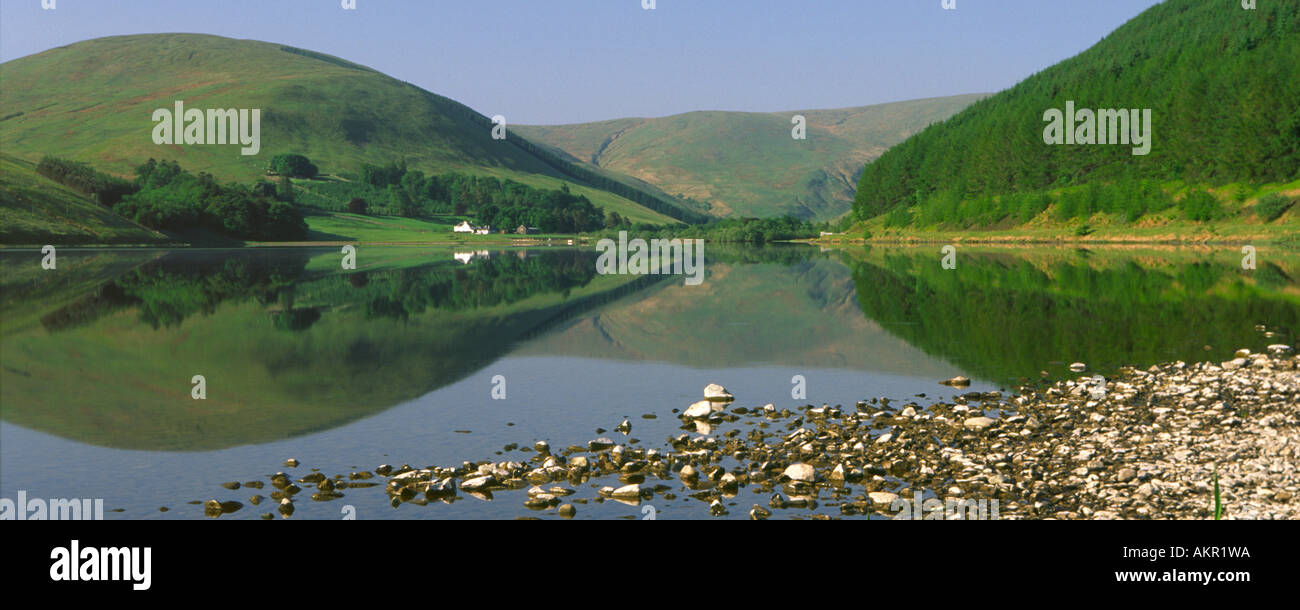 Il rotolamento frontiera scozzese paesaggio Foto Stock