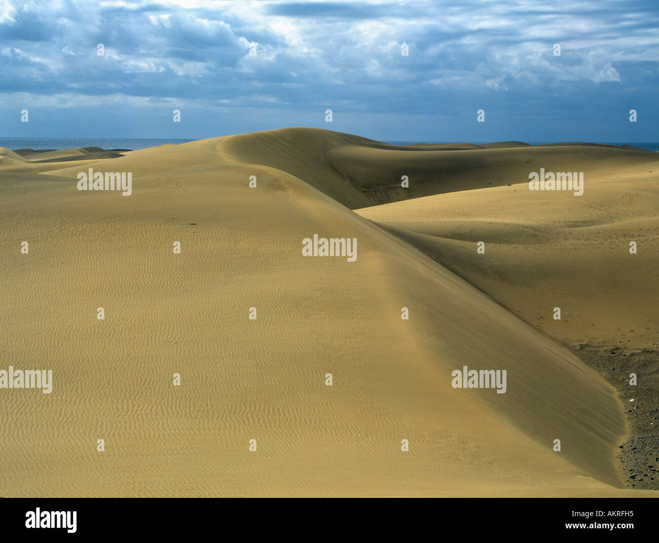 MASPALOMAS GRAN CANARIA febbraio le dune in Early Morning Light Foto Stock