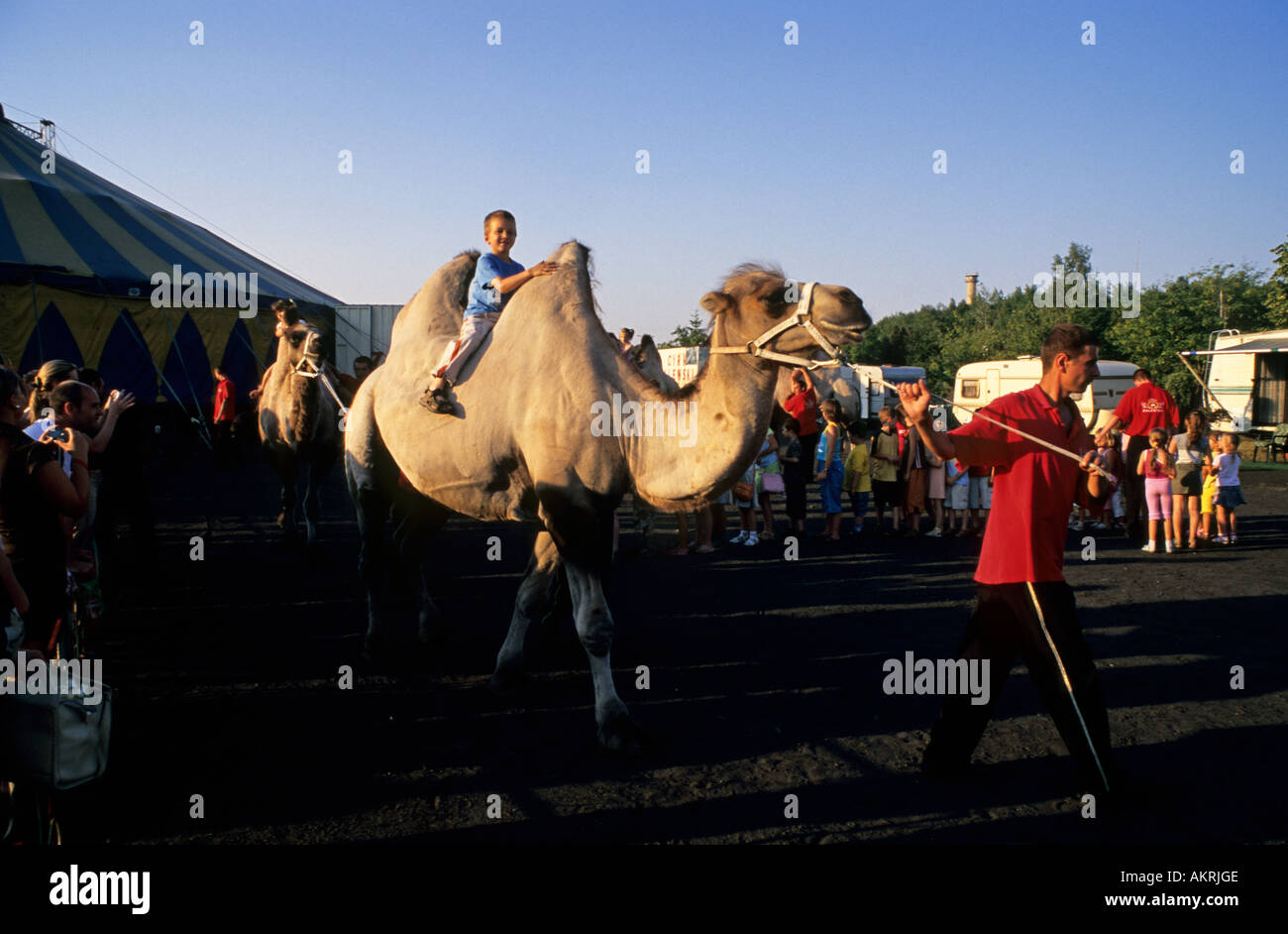 La Polonia Starachowice Zalewski Circus, bambini avente corsa in cammello Foto Stock