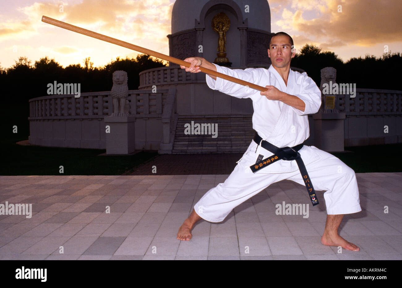 Credito foto DOUG BLANE Istruttore Sean Roberts a praticare il Karate al Nippon buddista Myohoji Pagoda della Pace Milton Keynes Foto Stock