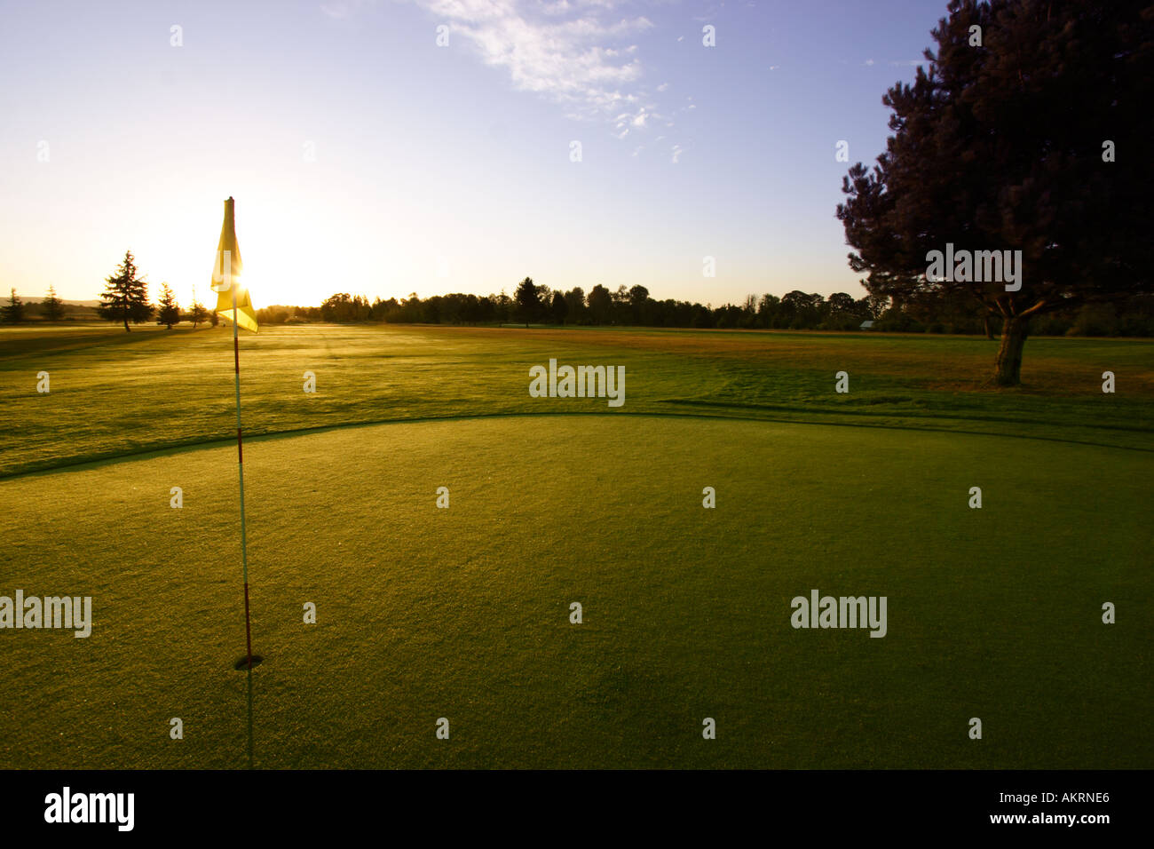 Golf Green di sunrise Foto Stock
