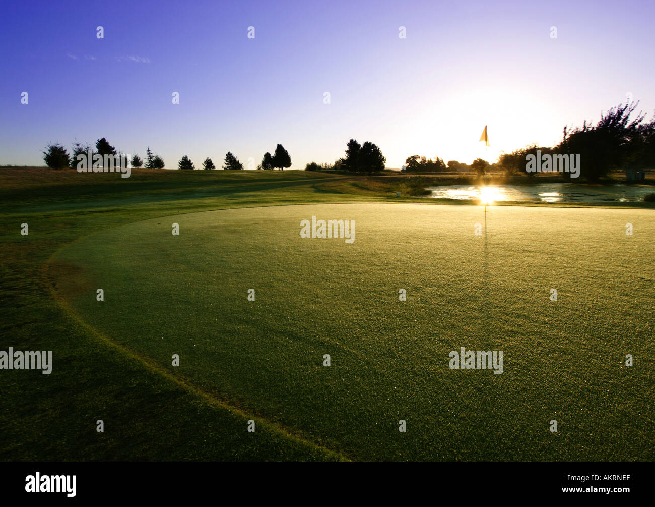 Golf Green di sunrise Foto Stock