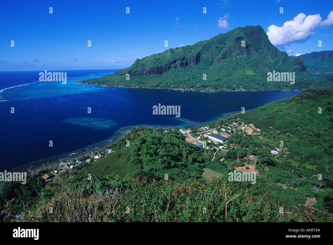 Francia, Polinesia francese, la società arcipelago, isole Windward, Moorea, baia Opunohu Foto Stock
