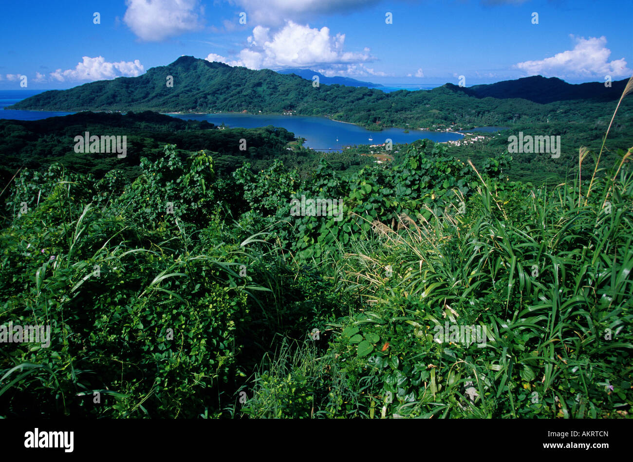 Francia, Polinesia francese, la società arcipelago delle Isole Sottovento, Tahaa island Foto Stock