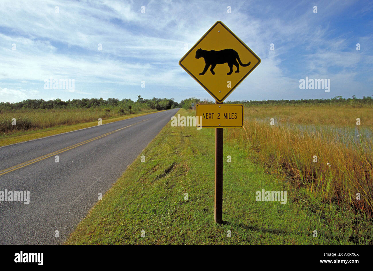 Un segno per la Florida Panthers mette in guardia i visitatori di essere cauti nell'Everglades Foto Stock