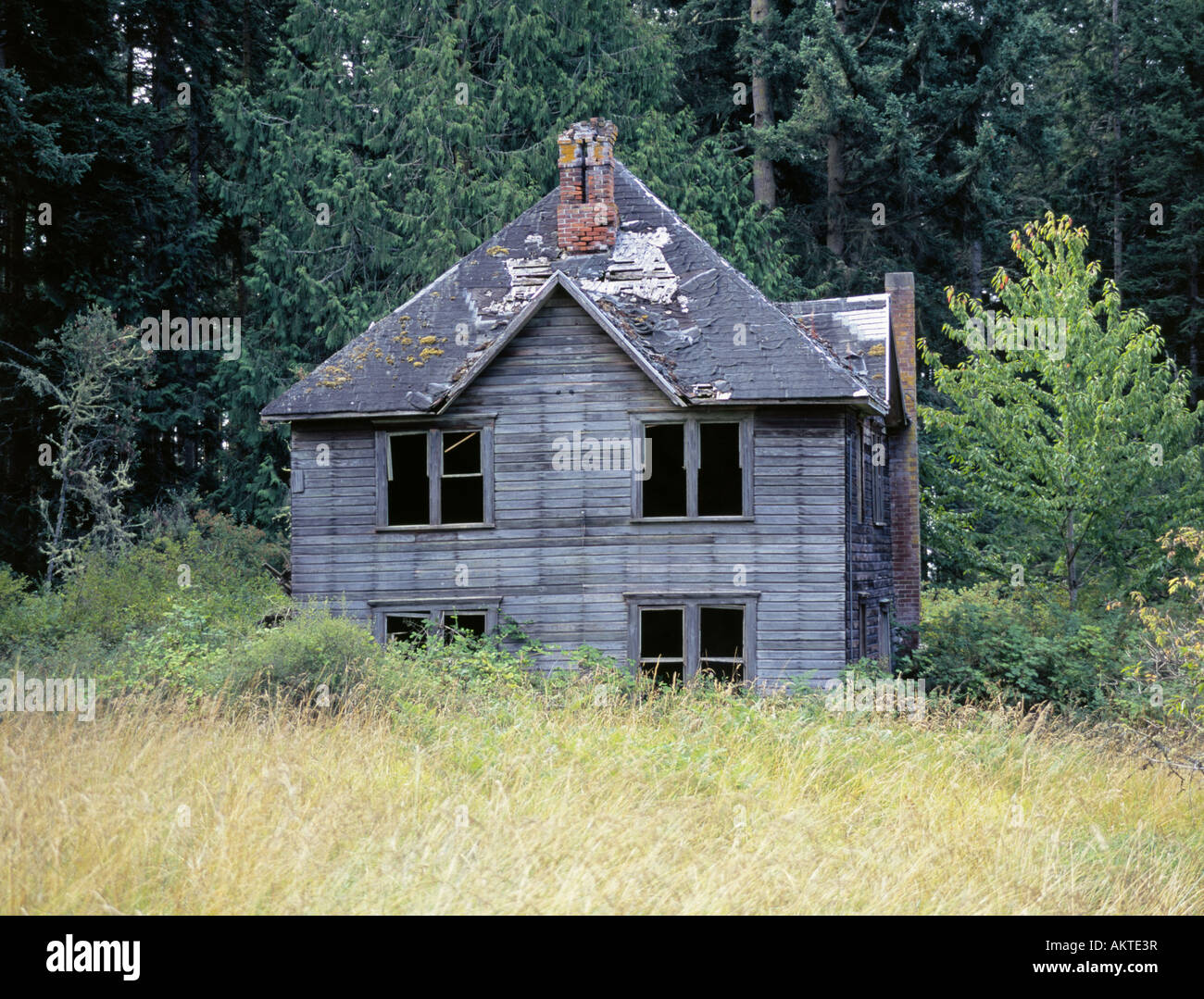 Dettaglio di un vecchio spooky Haunted House su Lopez isola nel San Juans Foto Stock