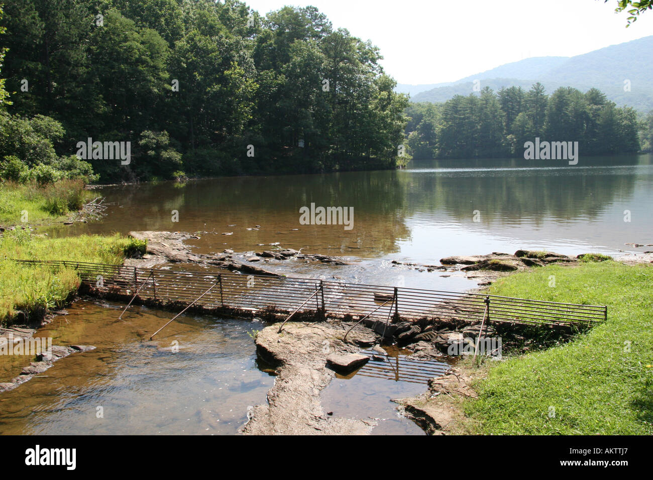 La cattura di foglie e detriti sul lago Tamarack, struttura piegata, Jasper, Georgia, Stati Uniti d'America. Foto Stock
