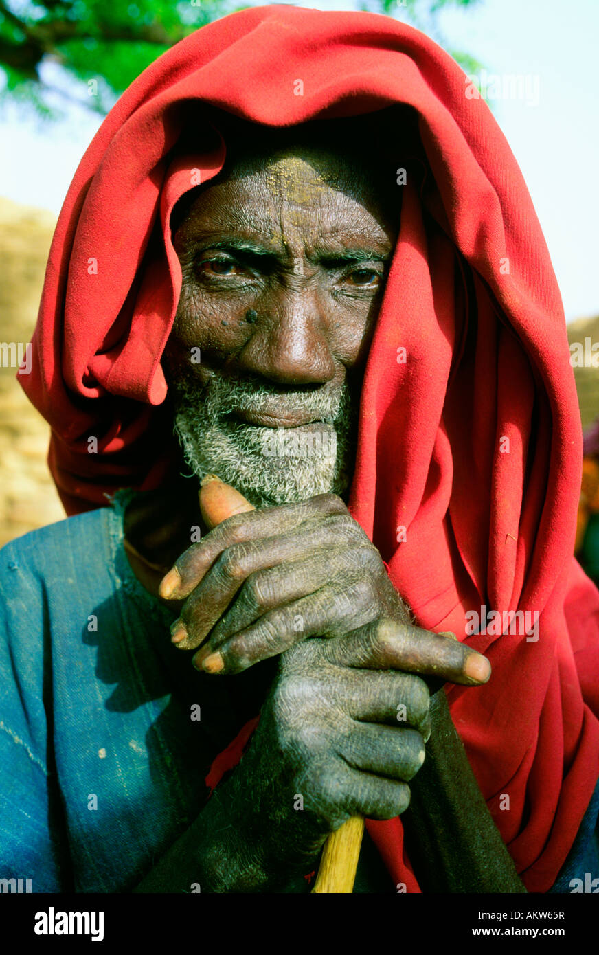 Villaggio sambuco Tougoume Mali Foto Stock