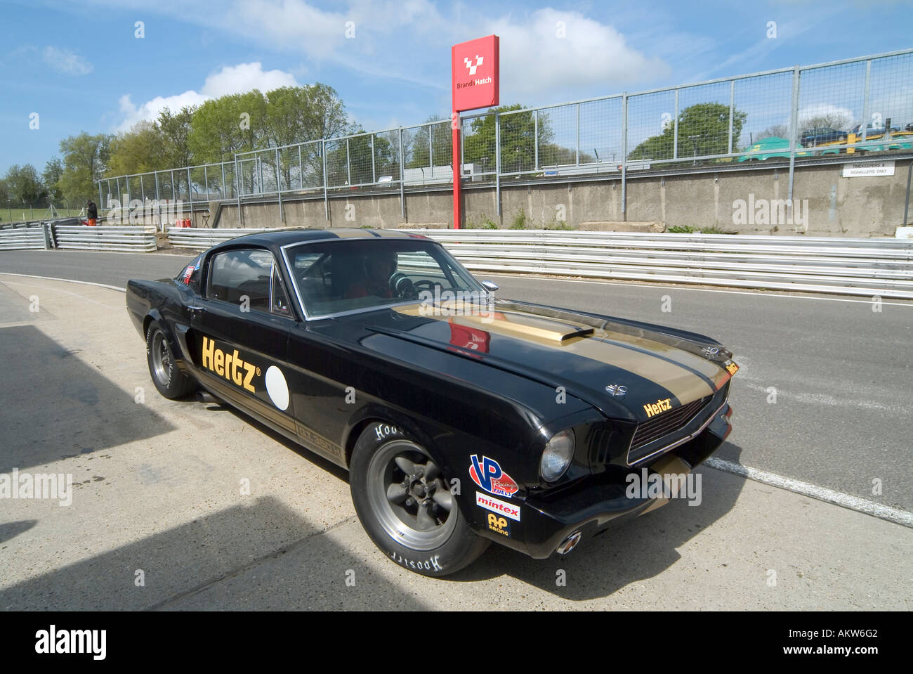 La Shelby Mustang GT350H auto presso la pista da corsa Foto Stock