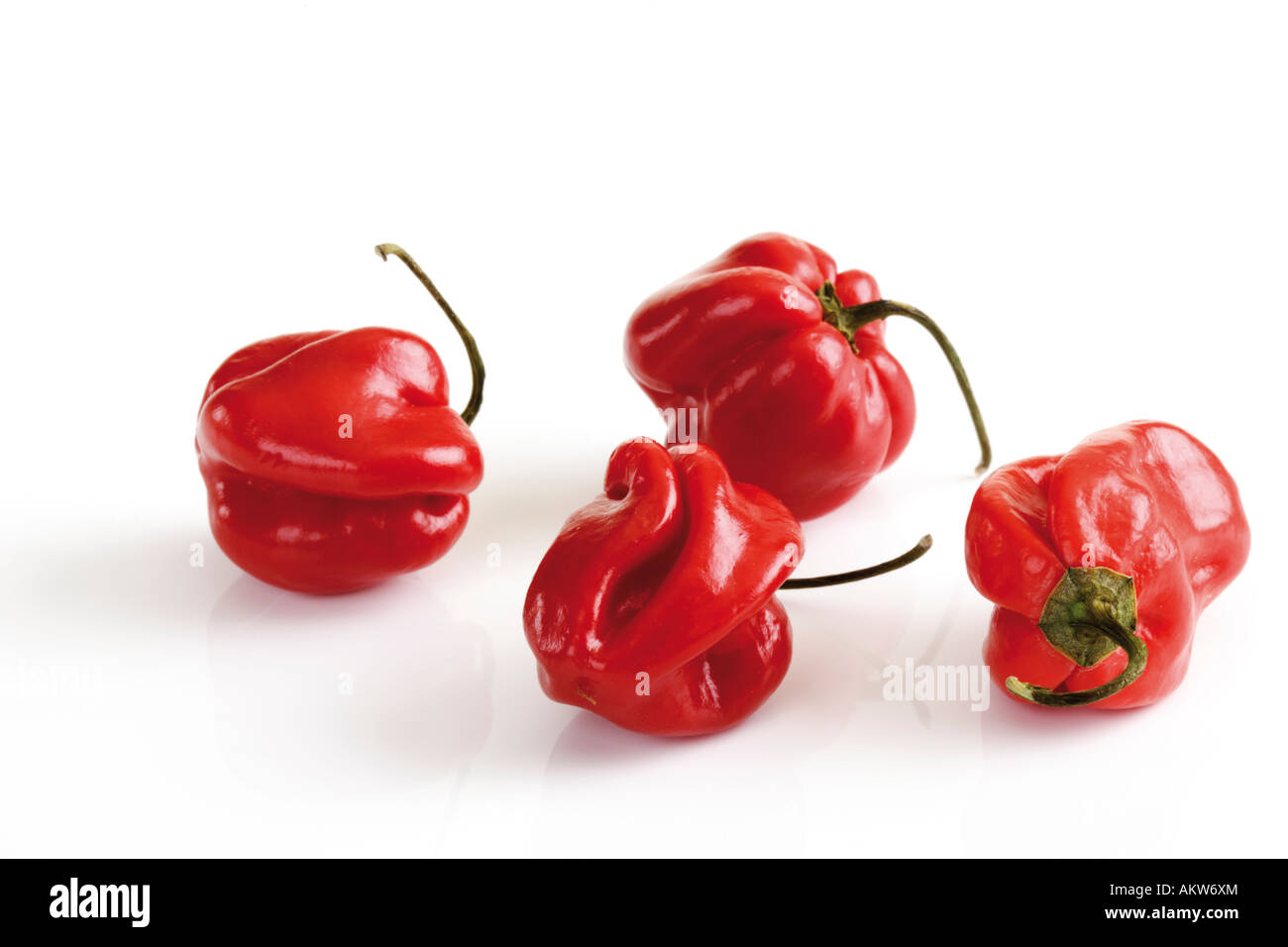 Rosso peperoncino habanero, close-up Foto Stock