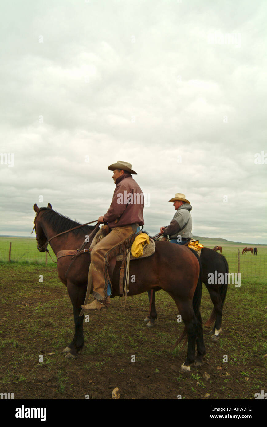 Cowboys a Logging Ranch Camp North Dakota Foto Stock