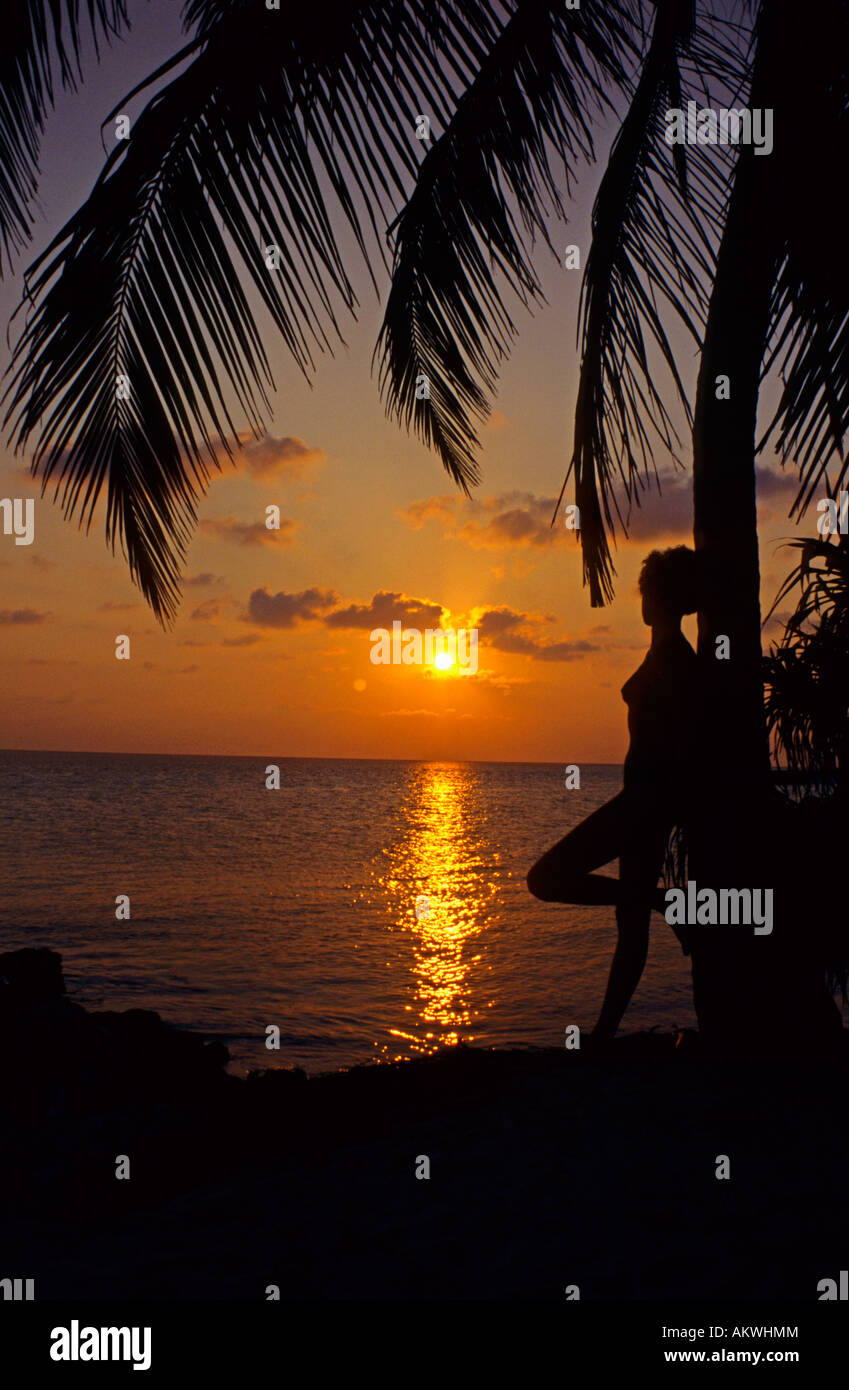 Donna in piedi da Palm Tree Foto Stock