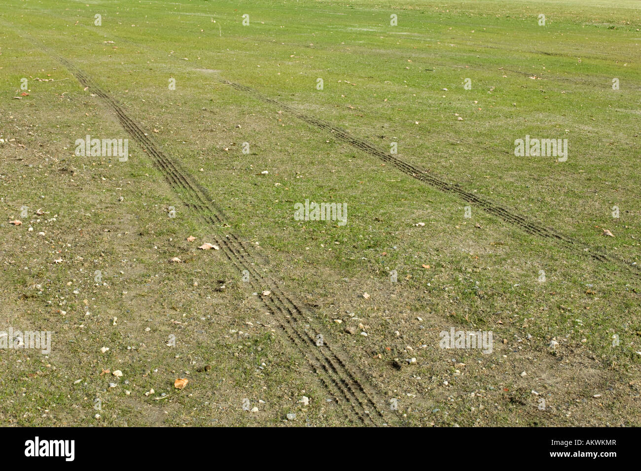 Tracce di pneumatici su un campo con erba corta. Foto Stock