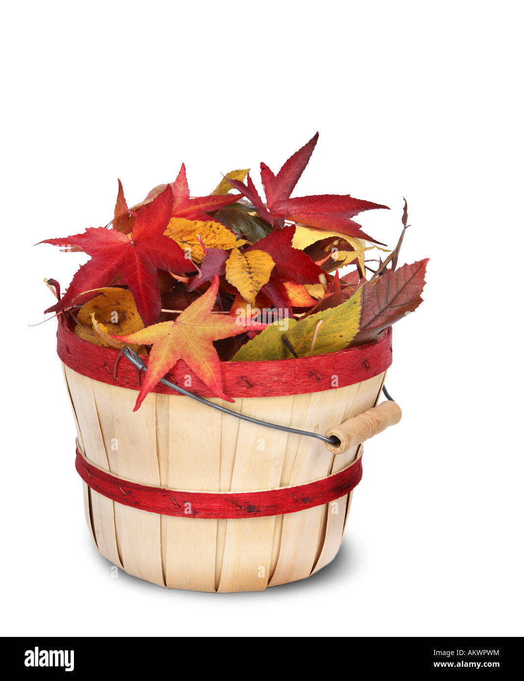 Cesto pieno di foglie tagliate su sfondo bianco Foto Stock