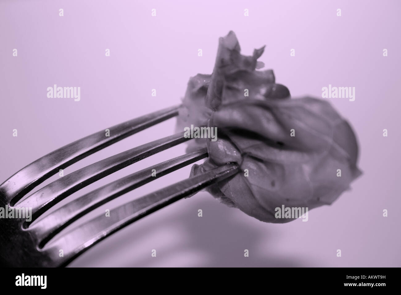 Lattuga sulla forcella Foto Stock