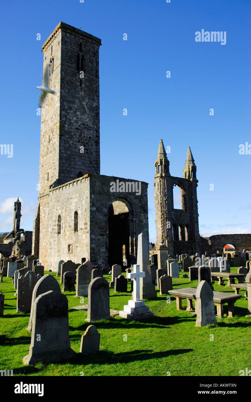 Rovine della St Rule Tower della Cattedrale di St Andrews a Fife, Scozia, Regno Unito Foto Stock