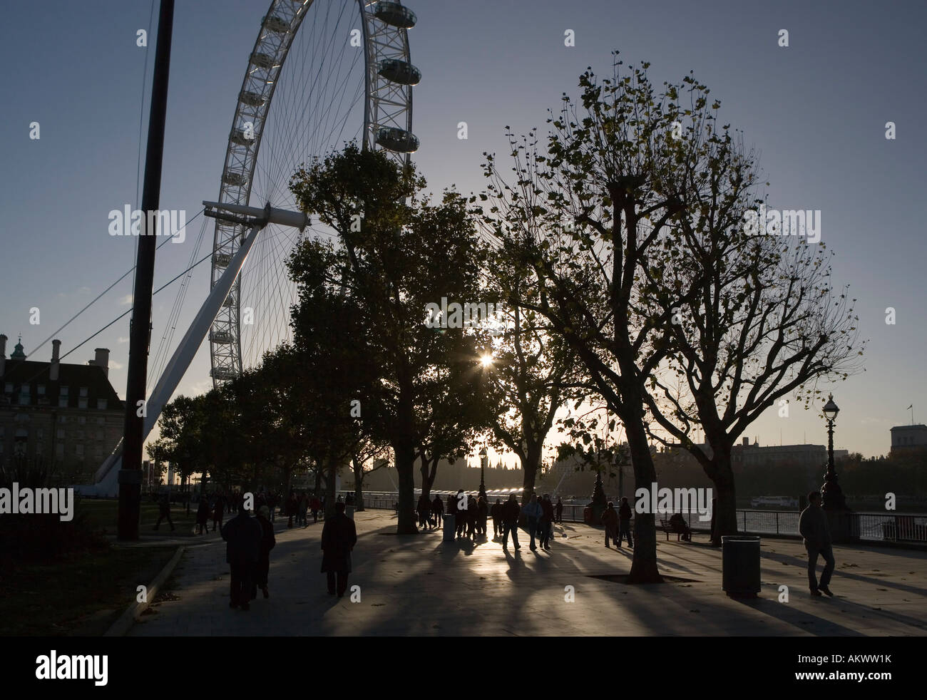 South Bank di Londra al tramonto con il London eye e il London platani stagliano Foto Stock