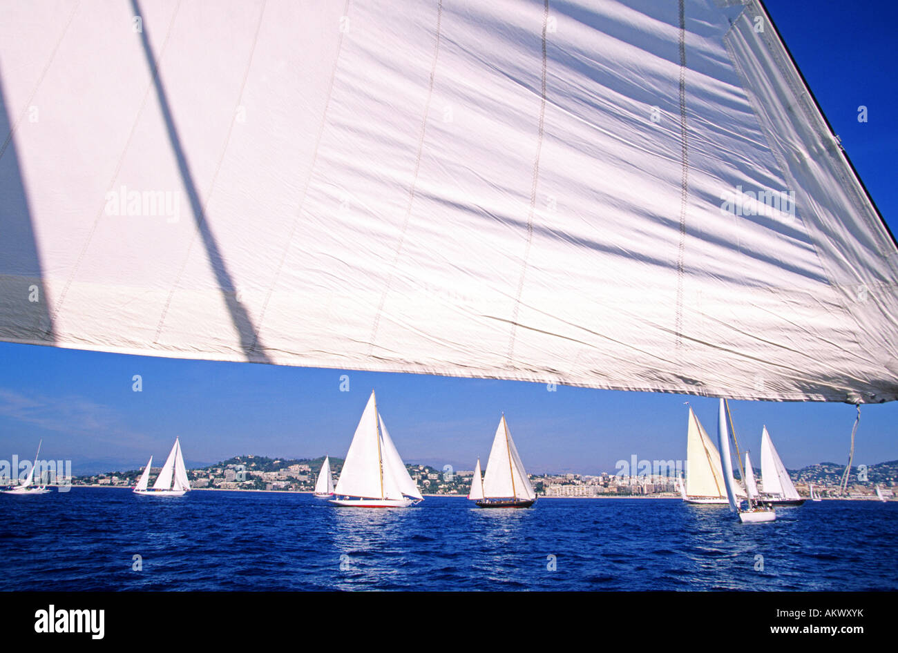 Francia, Aples Maritimes, Cannes, vele latine Foto Stock