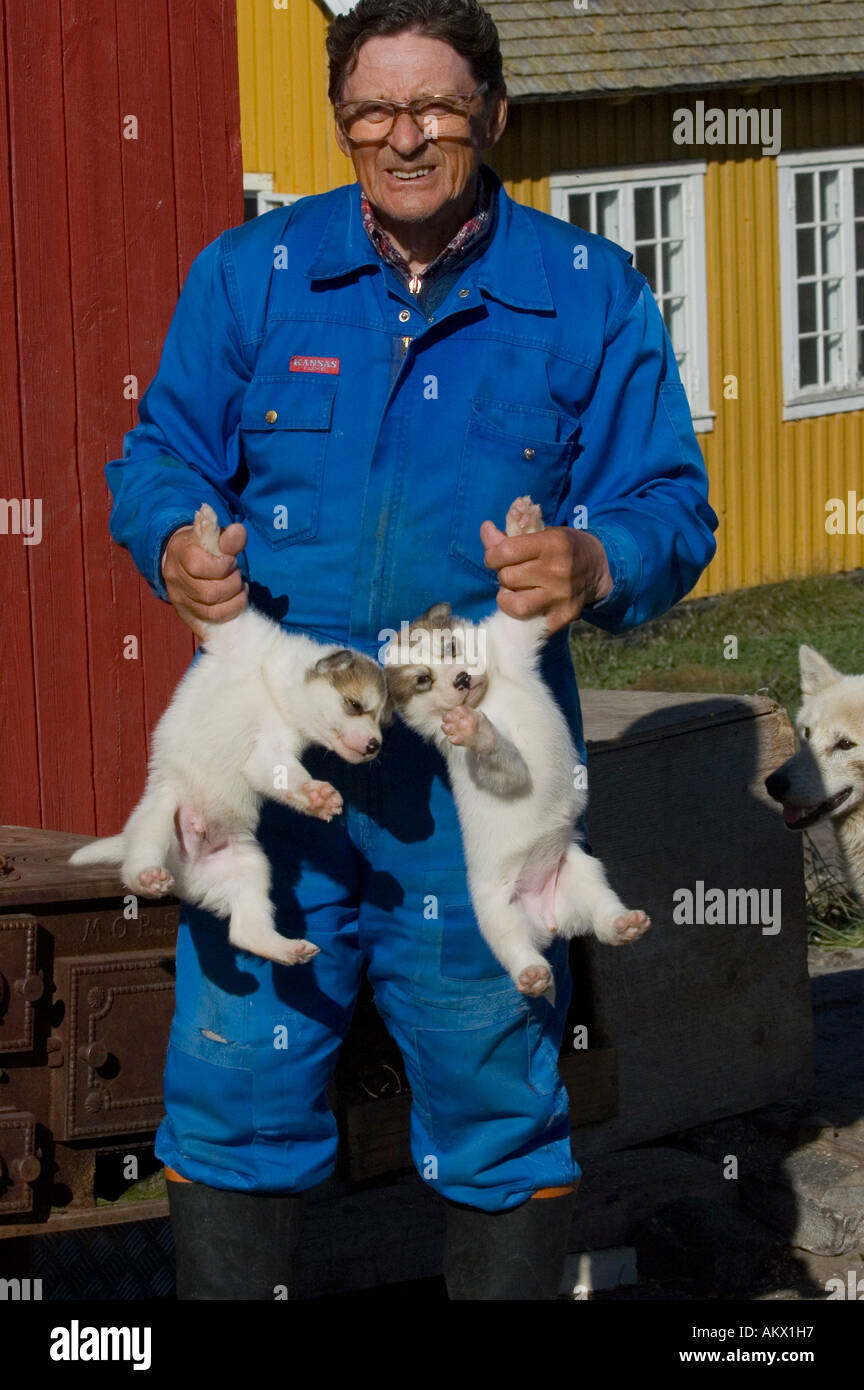 Cane allevatore è in possesso di 2 Groenlandia cuccioli di cane sulle loro zampe, Ilulissat Foto Stock