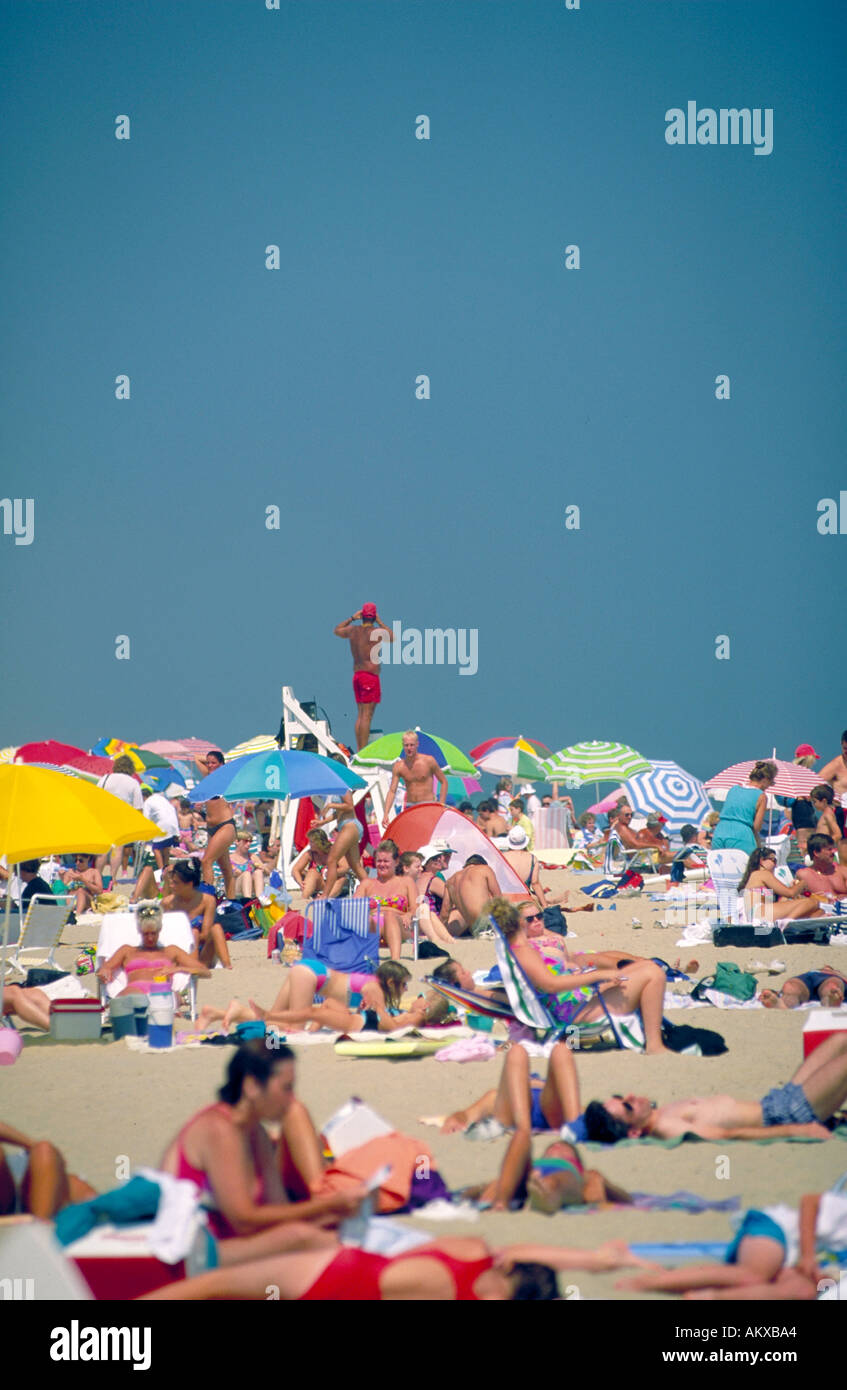 Un bagnino di salvataggio su un supporto folle che si affaccia sulla spiaggia di Cape Cod National Sea Shore Massachusetts Foto Stock