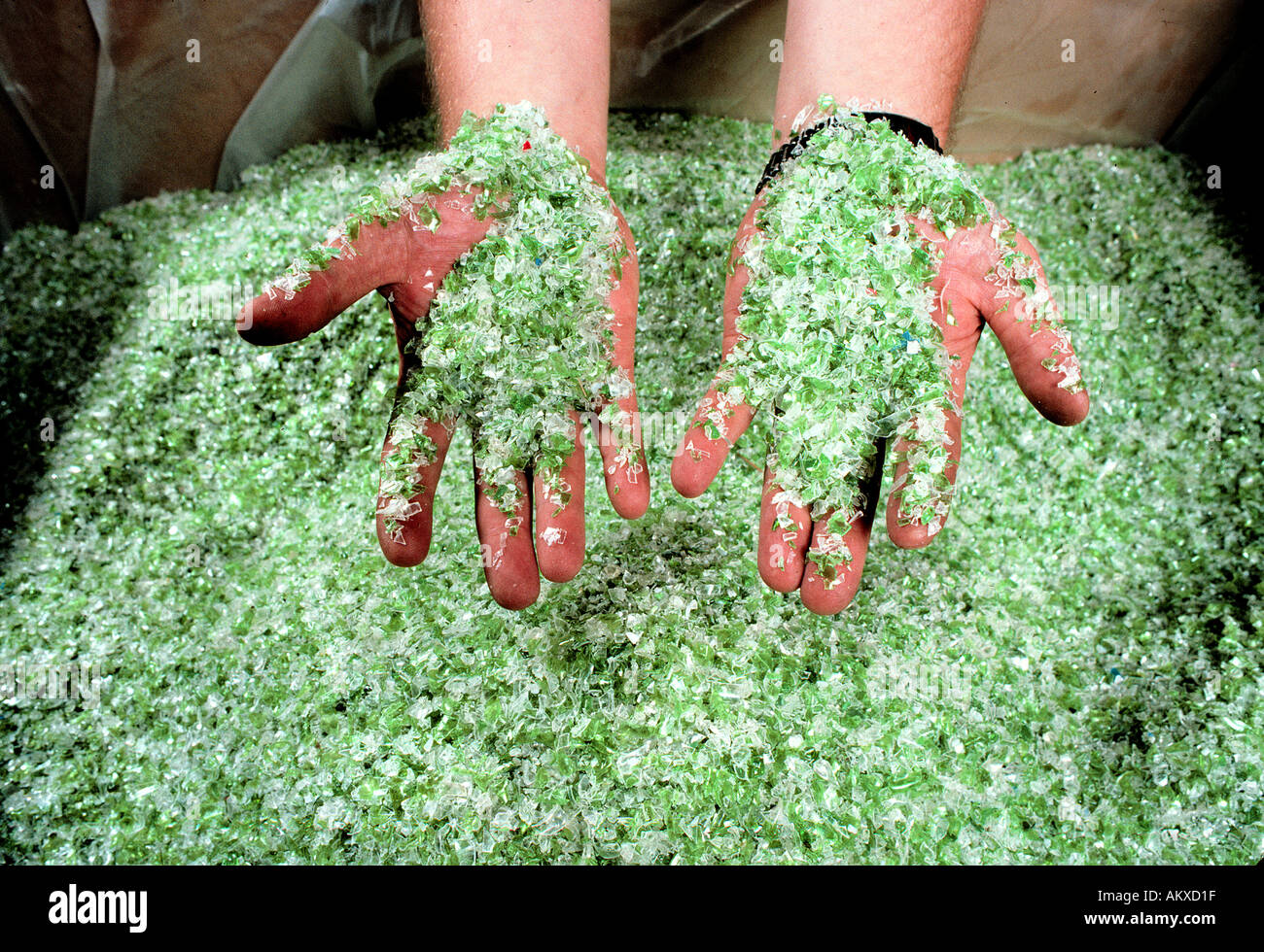 Fogli di polietilene tereftalato (PET) plastico sminuzzato stabilimento di riciclaggio, New Jersey, STATI UNITI D'AMERICA Foto Stock