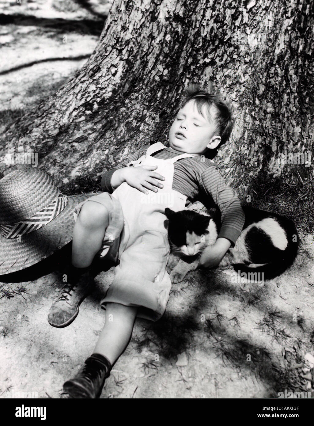 Ragazzo giovane con gatto addormentato contro tree 1950 s Foto Stock