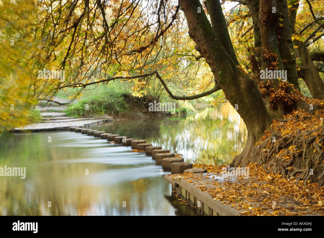 Le pietre miliari, Fiume Mole, Box Hill, Dorking, Surrey, Regno Unito Foto Stock