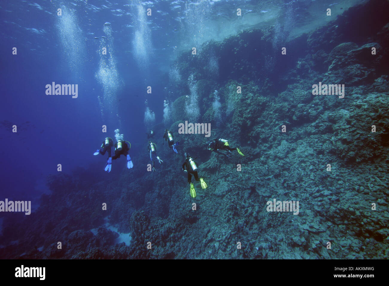 Sommozzatore in una barriera corallina, Zabargad, Mar Rosso, Egitto, Arfica. Foto Stock