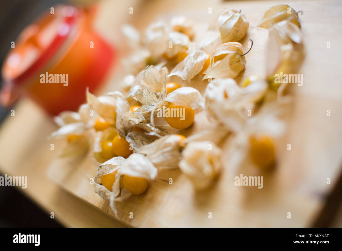 Physalis peruviana, ribes del capo su una scheda Foto Stock