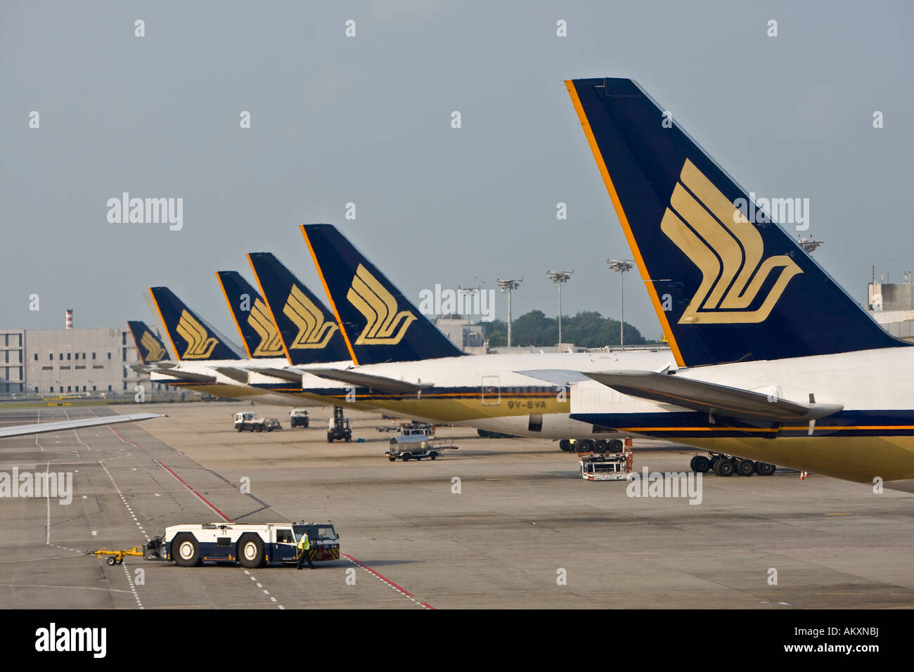 Pinne posteriori di Singapore Airlines aerei parcheggio sull'Aeroporto Changi di Singapore, Indonesia. Foto Stock