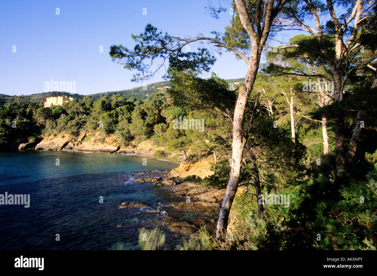 Francia, Var, Rayol : Canadel sur Mer, Domaine du Rayol :, Jardin des Mediterranees, Conservatoire du Littoral Station Wagon Foto Stock