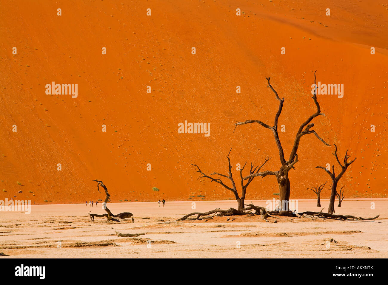 Deadvlei, Namibia Foto Stock