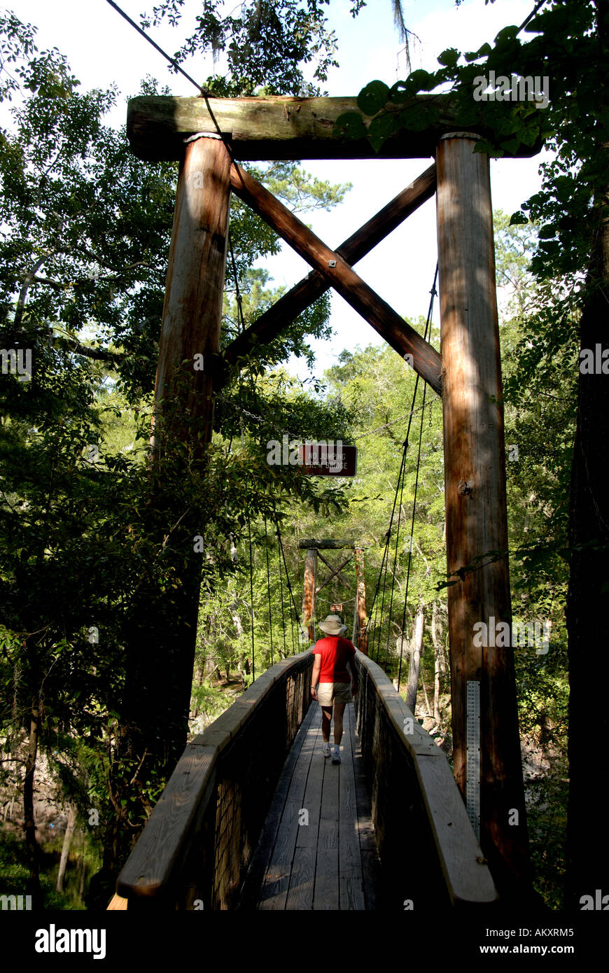 Florida River Trail O'leno stato parco sentiero escursionistico ponte di sospensione Foto Stock