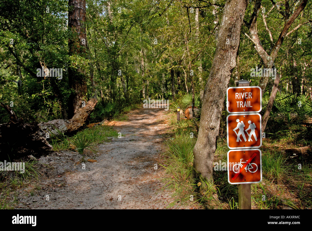 Florida River Trail O'leno stato parco sentiero escursionistico Foto Stock