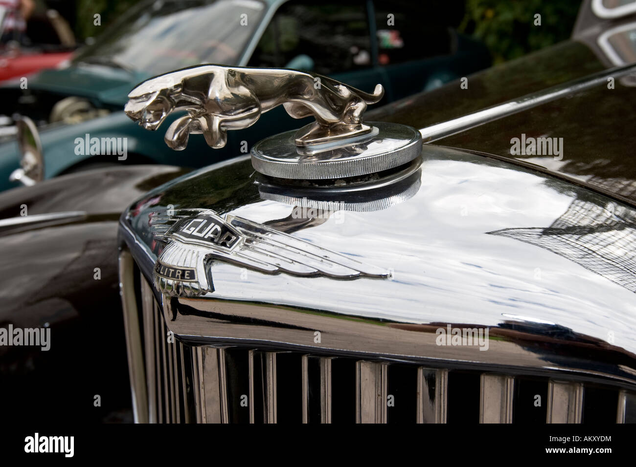 Ornamento del cofano Jaguar, vintage car meeting, Schwetzingen, Baden-Wuerttemberg, Germania Foto Stock